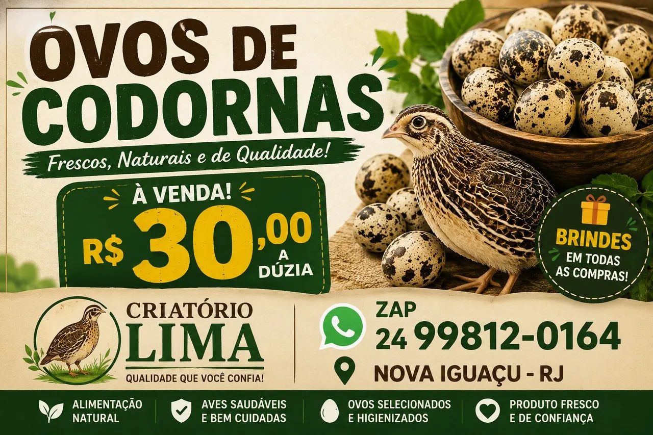 Ovos de Codornas Gigante 
