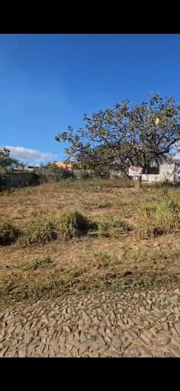 Ótimo lotes com estrutura e registro  - Foto 2
