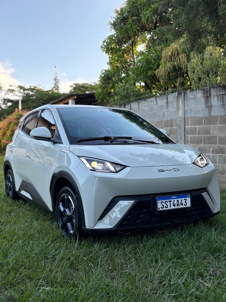 BYD Dolphin Mini (Elétrico) 2025