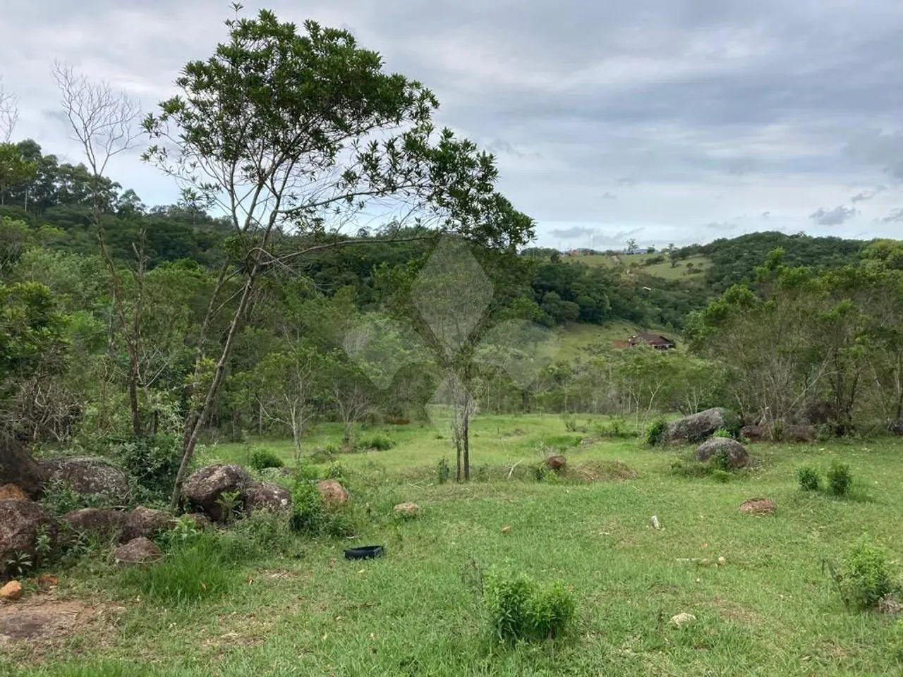 Terreno de 7.106 m² à venda, Ressacada - Garopaba/SC - Foto 3