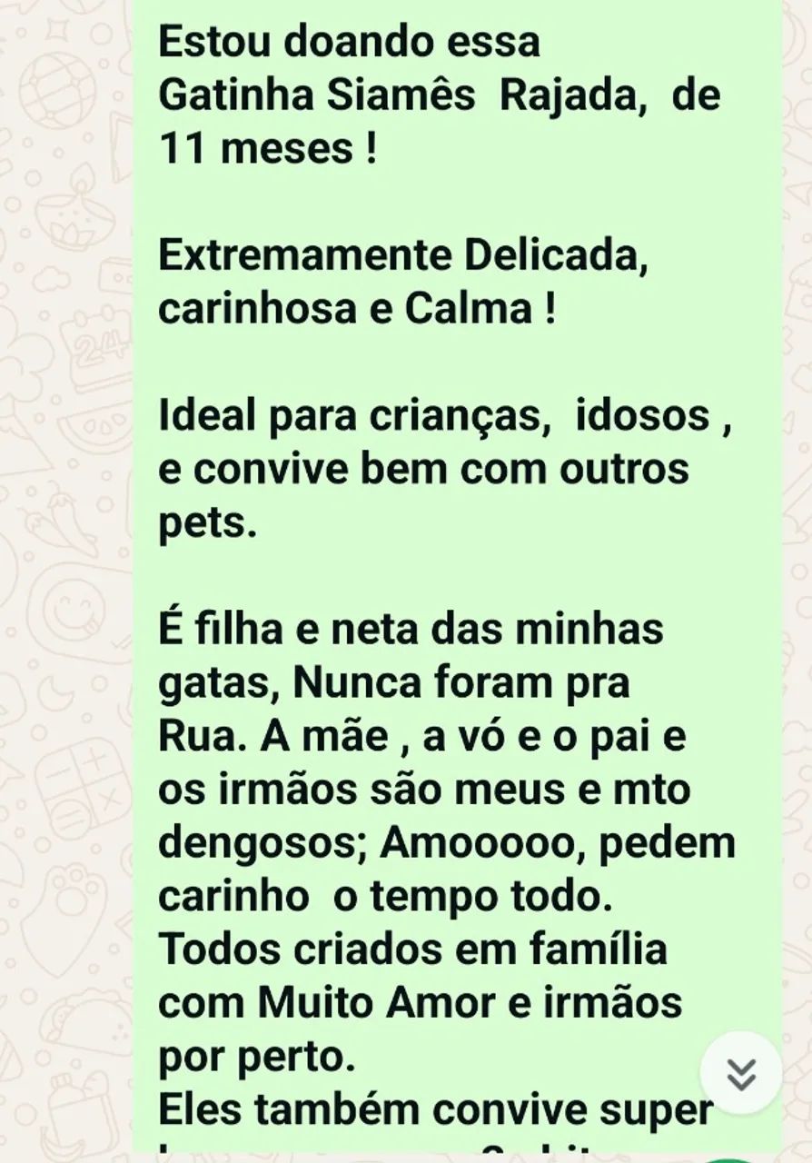 DOA-SE - Foto 5