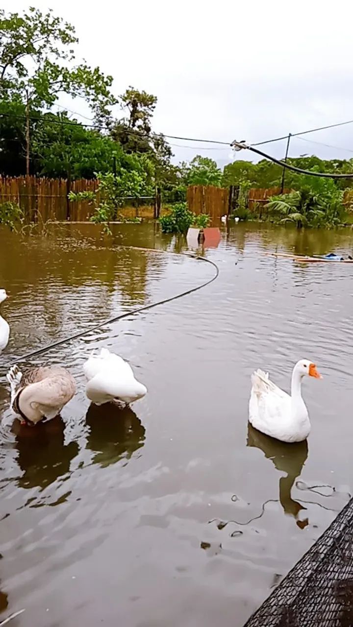 SÓ CHAMAR SE REALMENTE TIVER INTERESSE  - Foto 4