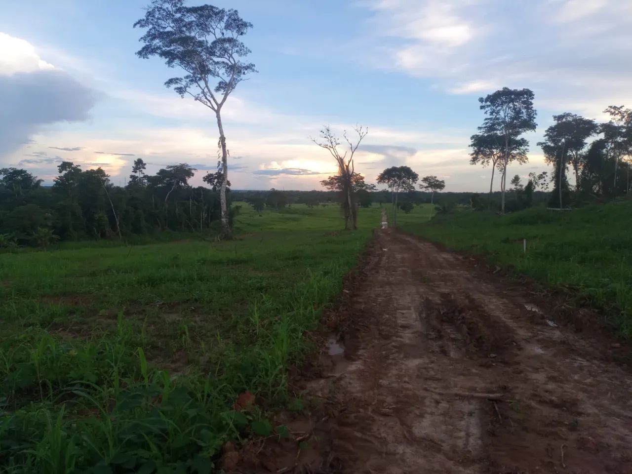 Terrenos no Arco viário. - Foto 3