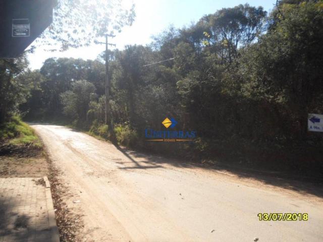 Terreno para venda em colombo no bairro são gabriel - Foto 19