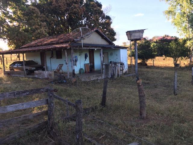 217 hectares, com 150 hectares aberto 32 km de Dom Aquino -MT - Foto 18