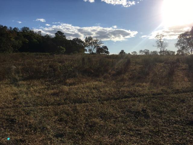 217 hectares, com 150 hectares aberto 32 km de Dom Aquino -MT - Foto 19