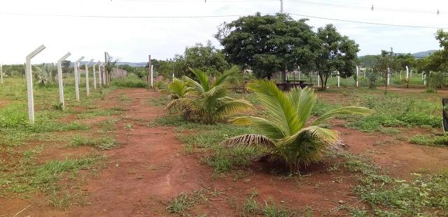 Chácara condomínio Tarumã em Trindade - Foto 6
