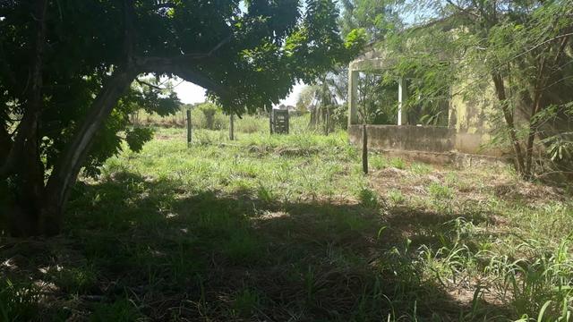 Vendo Chacara Barreiro Branco - Foto 5