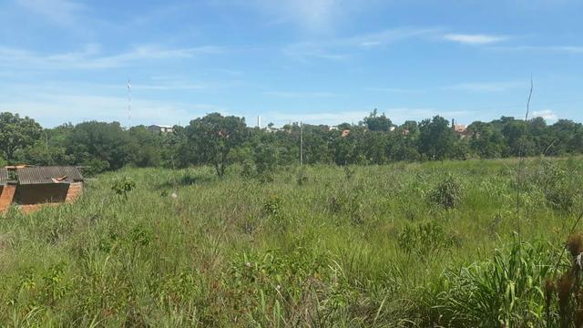 Vendo Chacara Barreiro Branco - Foto 3