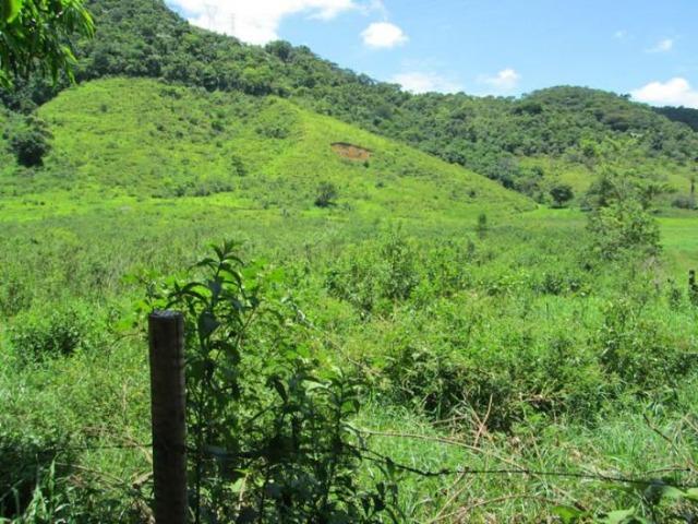 Sítio de 14 alqueires em Silva Jardim, RJ - Foto 4