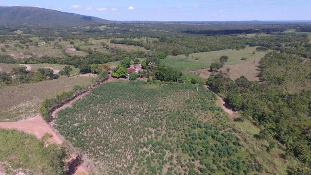 Sítio 70ha região acorizal 60km de cuiabá - Foto 2