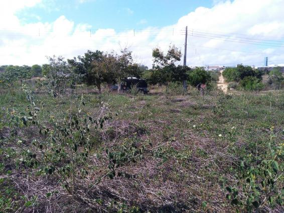Terreno para venda no bairro luiz gonzaga em caruaru. - Foto 3