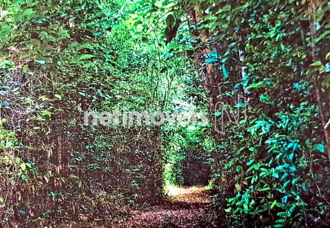 Terreno à venda em Fazenda exemplo, Cachoeira cod:766495 - Foto 14