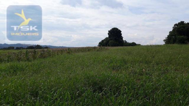CH0281 - Quitandinha chácara 15.000 m² Excelente casa, vista incrível - Foto 6