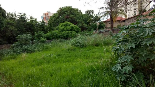 Área/Area 780m² Cidade Jardim/Vila Lucy/Sol Nascente, Lotes/Lote 780m² Cidade Jardim - Foto 2