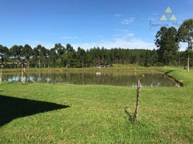 Sítio com 1 dormitório à venda, 35000 m² por r$ 950.000,00 - são cristóvão - barra velha/s - Foto 3