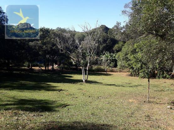 CH0143 - Quitandinha - 7.000 m² - Área para formar chácara - Foto 7