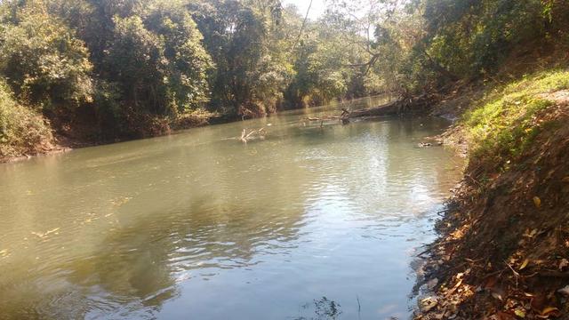 Chácara 5 ha, com Rio 70 km Campo Grande MS - Foto 6