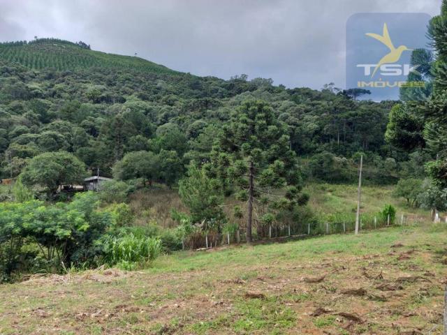 Chácara em Mandirituba - 12100 m² por R$ 210.000 - Zona Rural - Mandirituba/PR - Foto 19