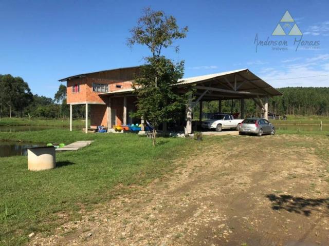 Sítio com 1 dormitório à venda, 35000 m² por r$ 950.000,00 - são cristóvão - barra velha/s - Foto 7