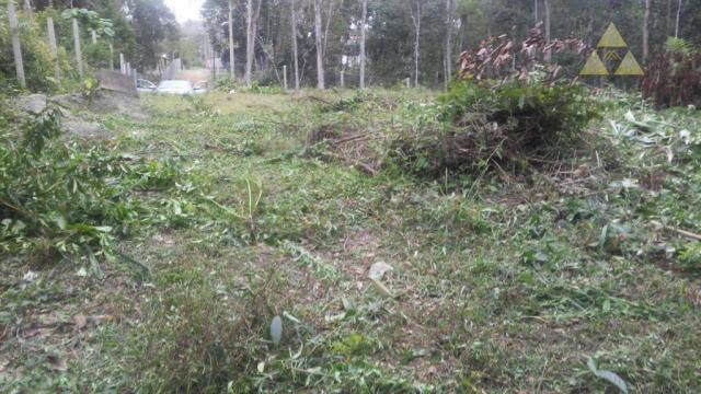 Sítio rural à venda, itajuba, barra velha. - Foto 6