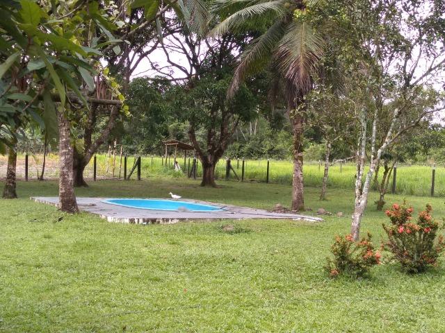 25 hectares a 55 km de Belém lindo Sitio por 200 mil reais Aceito carro na negociação - Foto 16