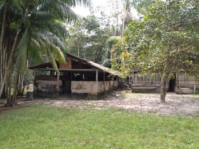 25 hectares a 55 km de Belém lindo Sitio por 200 mil reais Aceito carro na negociação - Foto 14