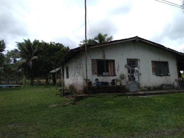 25 hectares a 55 km de Belém lindo Sitio por 200 mil reais Aceito carro na negociação - Foto 4