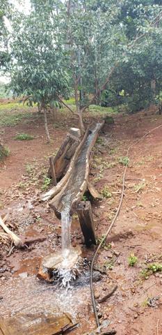 Fazenda a venda em bela vista de goias - Foto 5