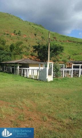 Fazenda 32,29 alq. de $ 3.571.331,05 por 2.500.000,00 - Peixe Verde - Viana - Foto 11