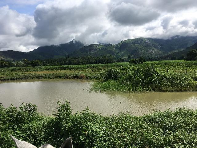 Venda de fazenda - Foto 3