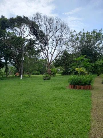 Fazenda Lalyele no Alto do Ipê - Foto 2