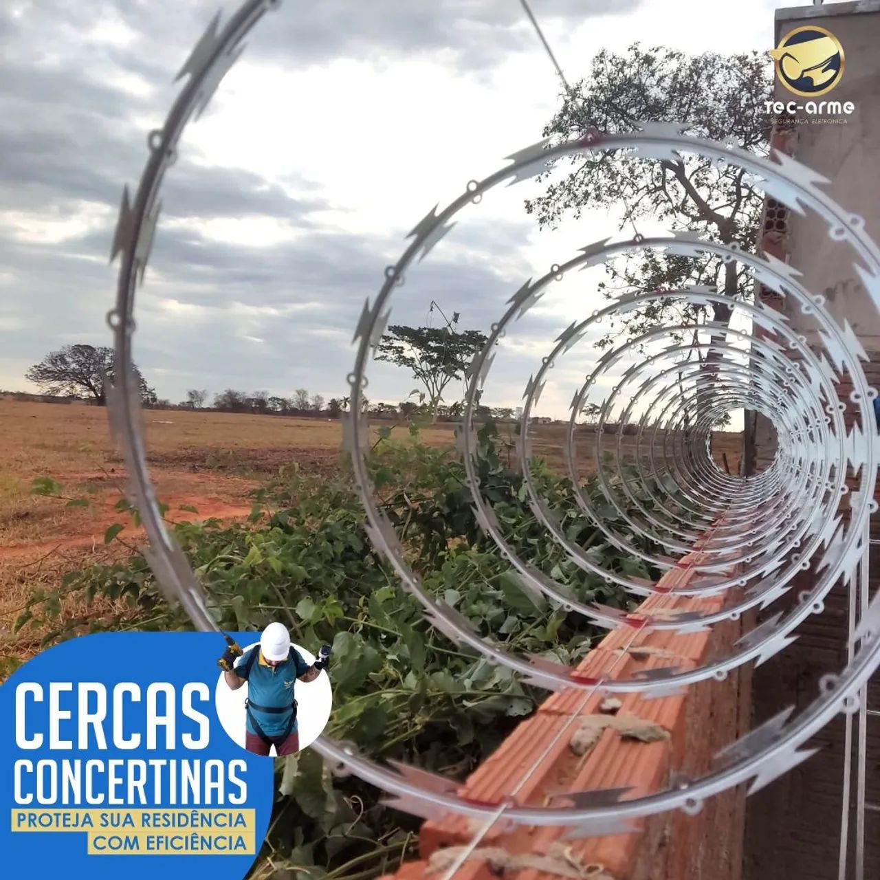 Concertina 30cm galvanizado 10x no cartão 