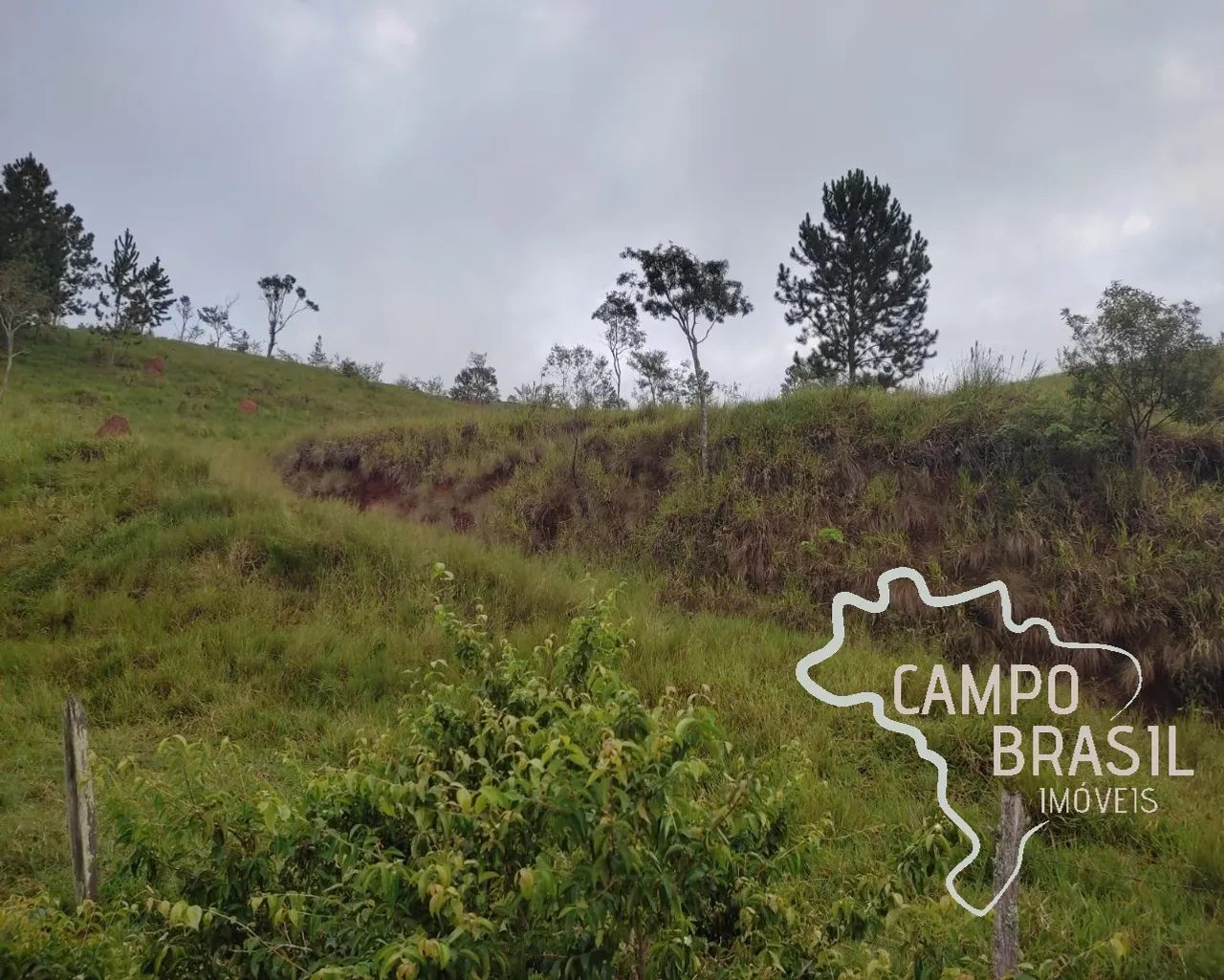 ÁREA RURAL 150.000M² EM JAMBEIRO COM TOPOGRAFIA MISTA! - Foto 3