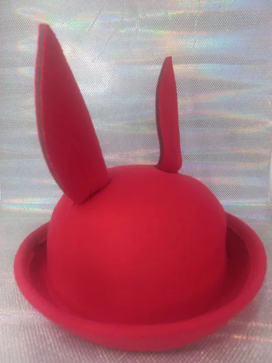 Chapéu Coelho  - Foto 2