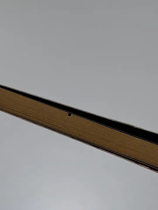 Highschool of the Dead - Volume único - Foto 2