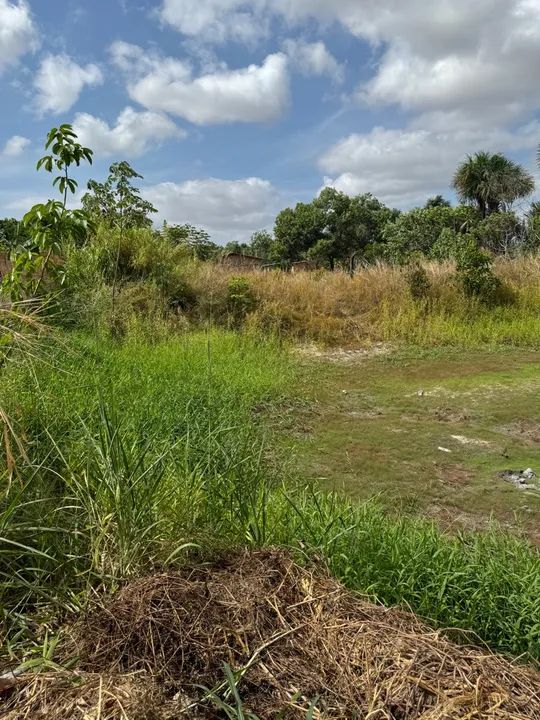 terreno bairro operario parcelado - Foto 4