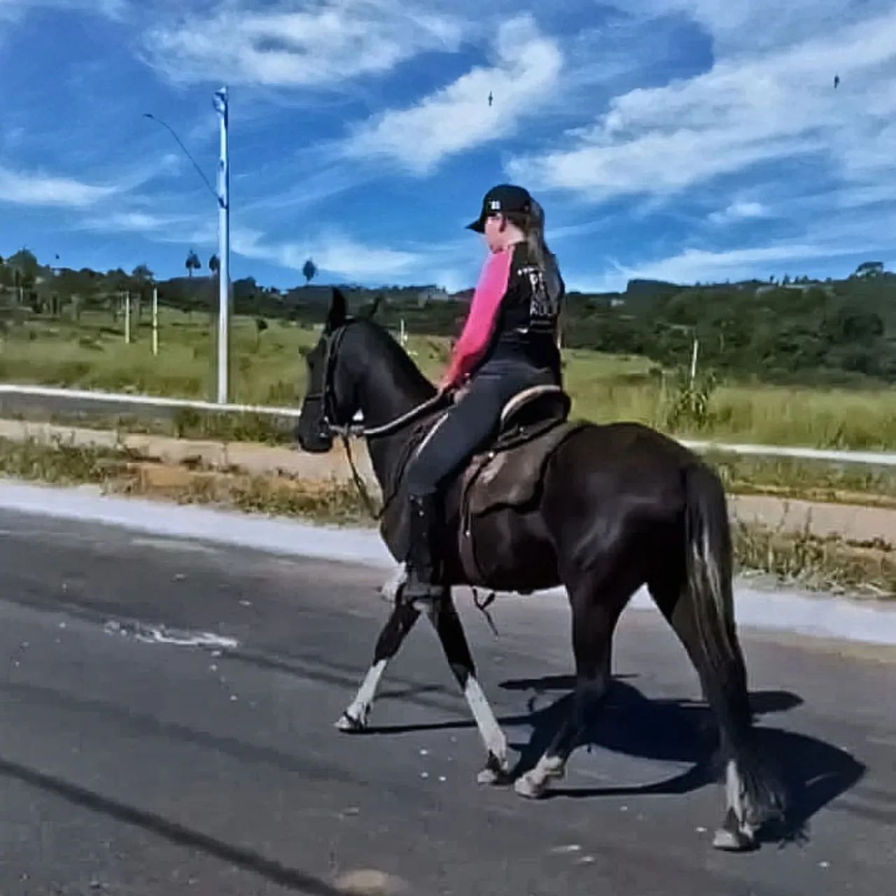 Vendo Potra Preta Pampa  - Foto 3