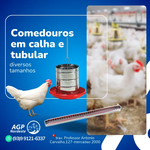 Comedouros para pintinhos, galinhas e frangos
