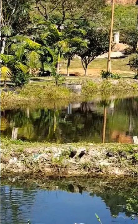 SÍTIO EM TAPIRAÍ SP COMARCA DE PIEDADE VENDA - Foto 3