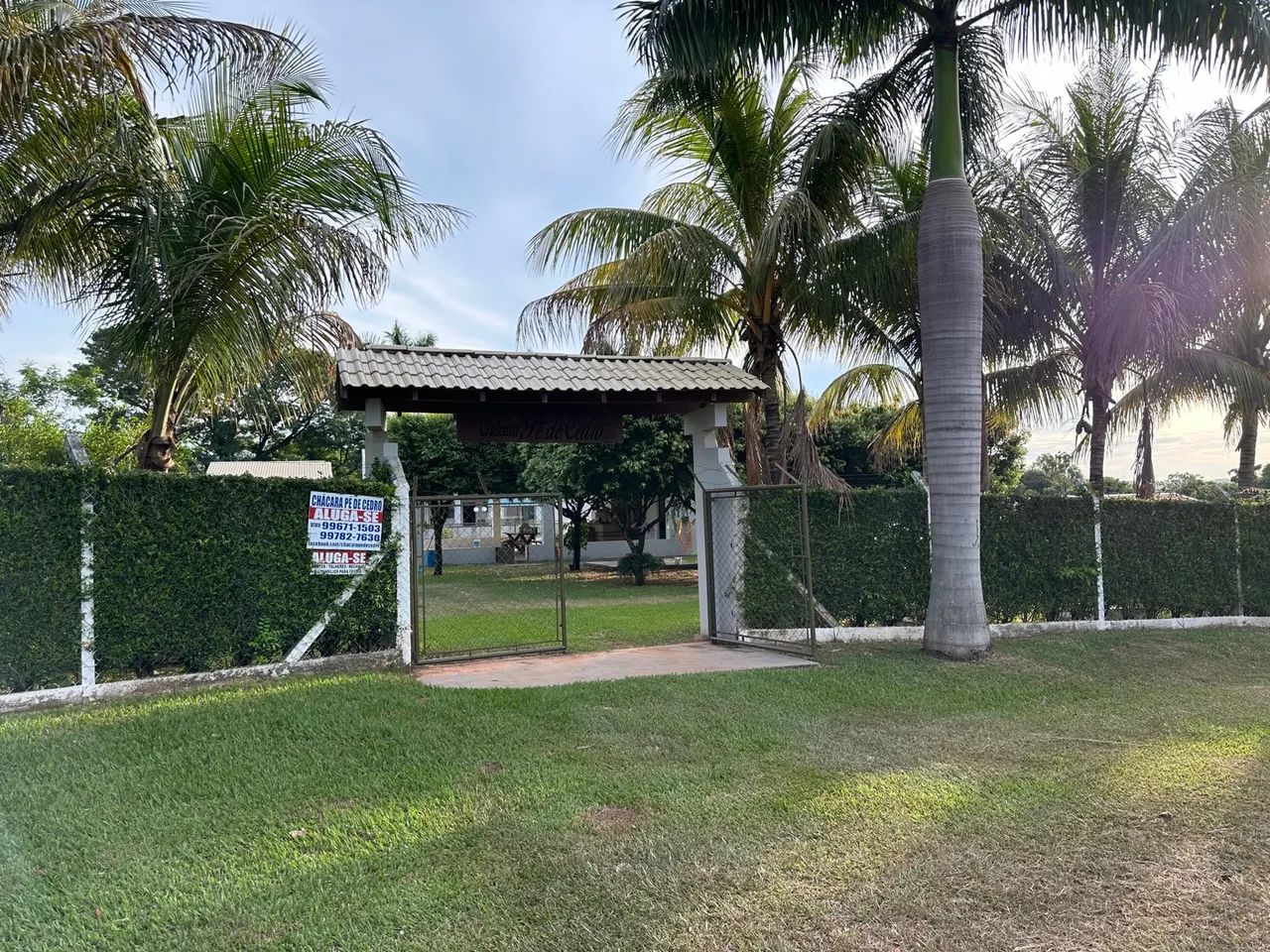 Chácara pé de cedro - Foto 4