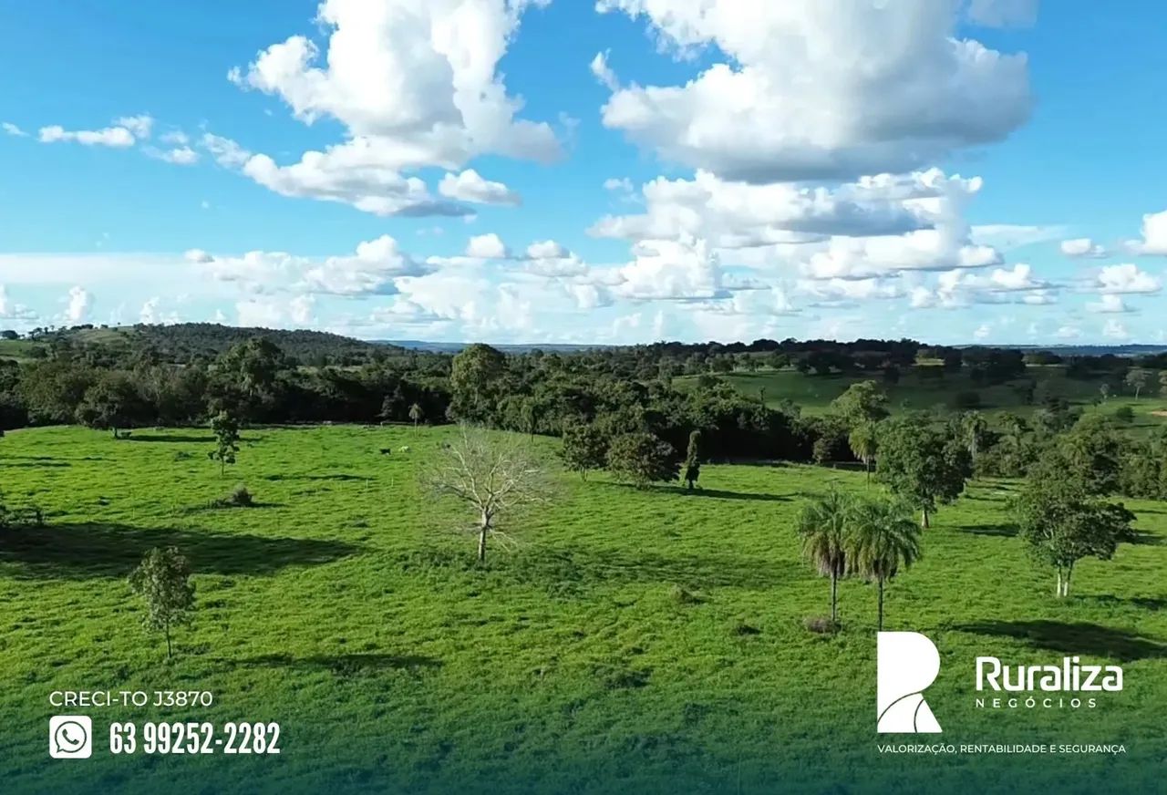 Colinas - TO à 30 km da rodovia, com solo fértil e alto potencial produtivo,  para manejo  - Foto 4