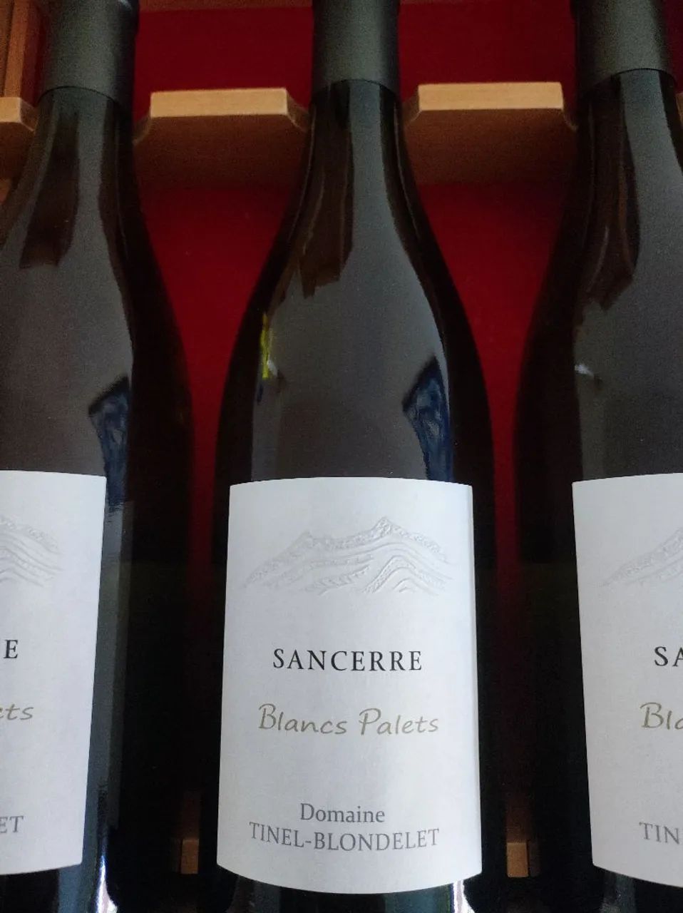 Sancerre Blancs Palets Domaine Tinel-blondelet 2022