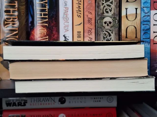 Livro coleção Príncipe Cativo - O Escravo, O Guerreiro, O Rei - Autora C. S. Pacat - Foto 3