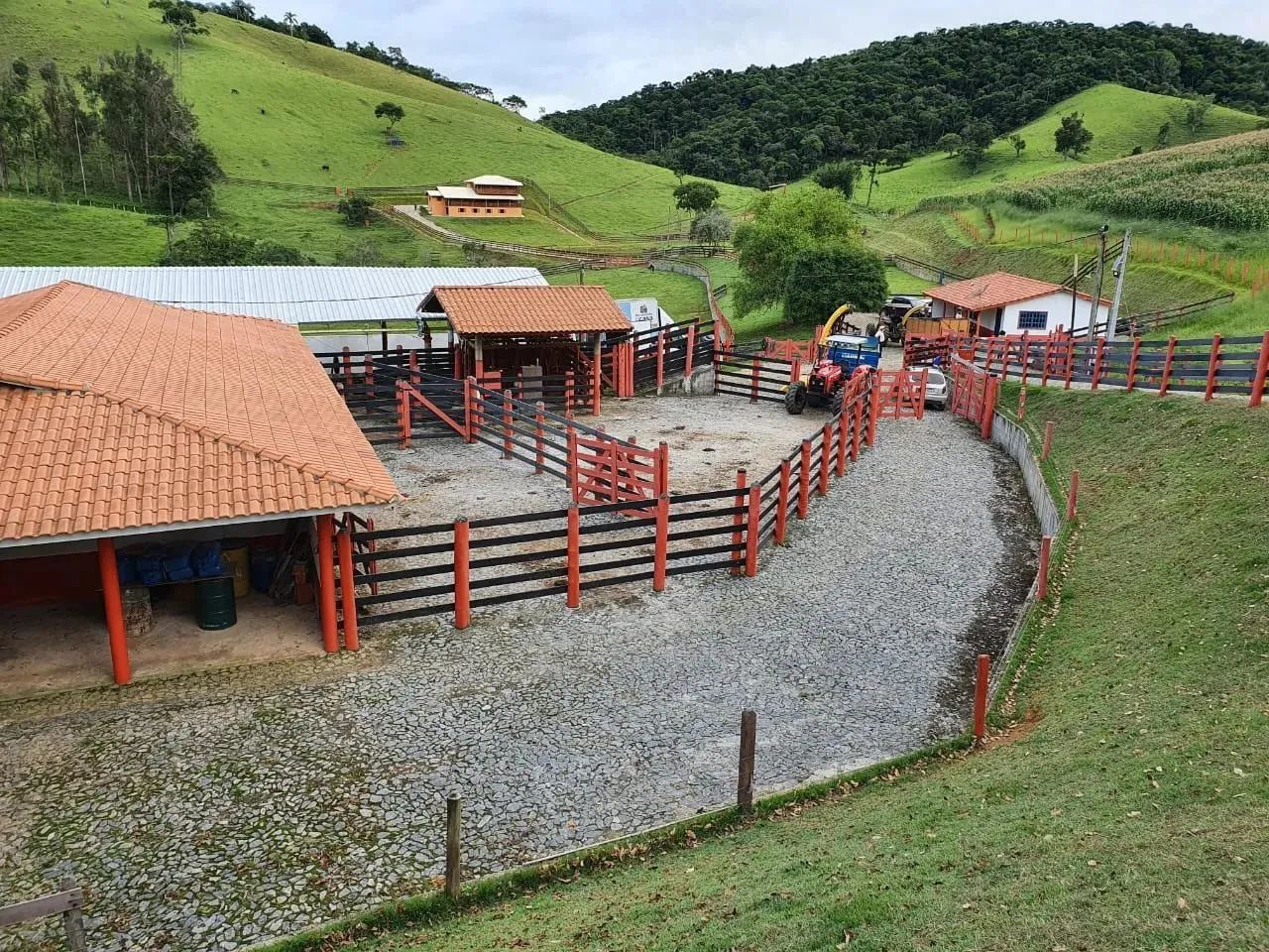 FAZENDA RURAL em SALESÓPOLIS - SP, CEDRO