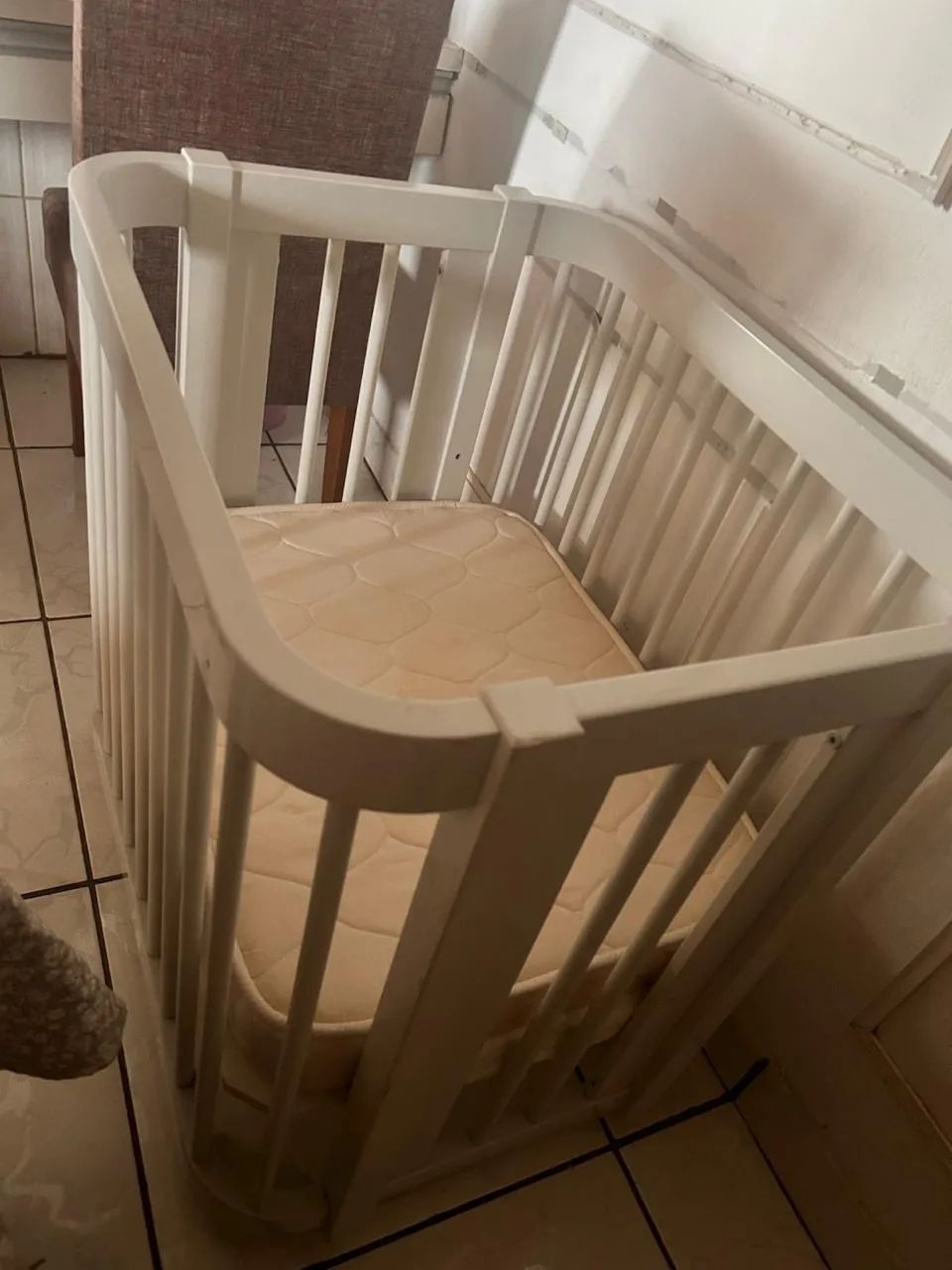 Berço evolutivo 64573909879169124