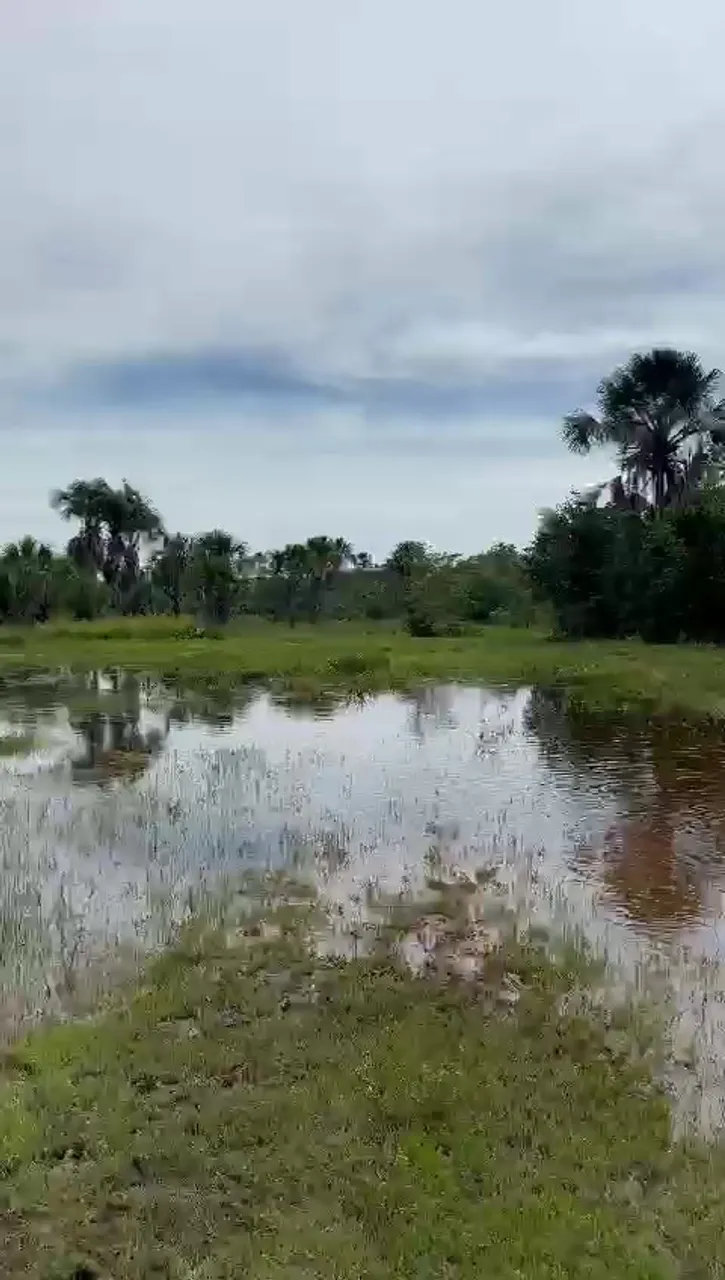 Fazenda em Gilbués do Piaui