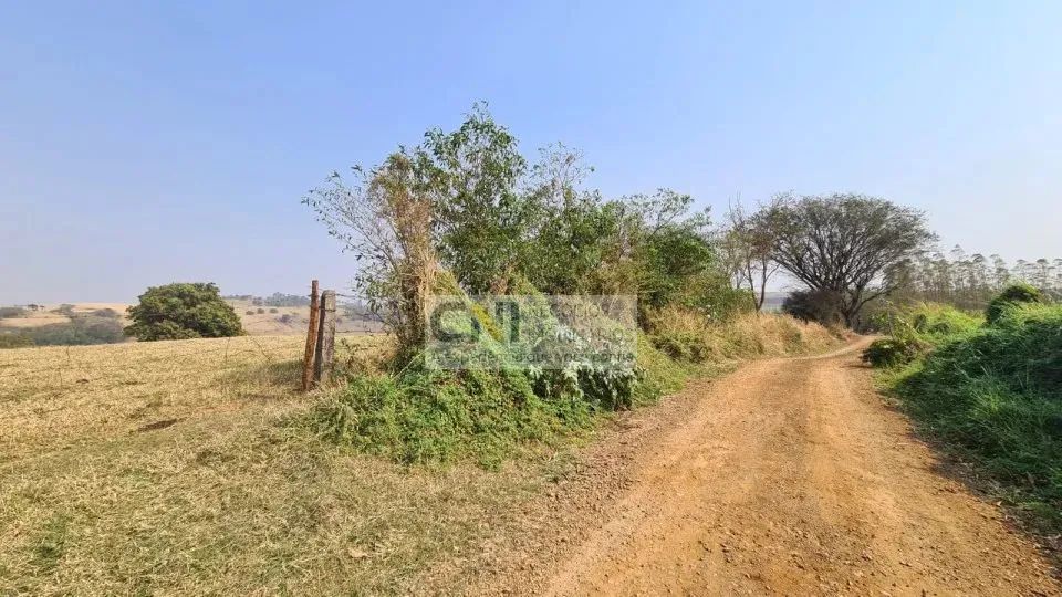 BELO SÍTIO EM IVAIPORÃ - Foto 3