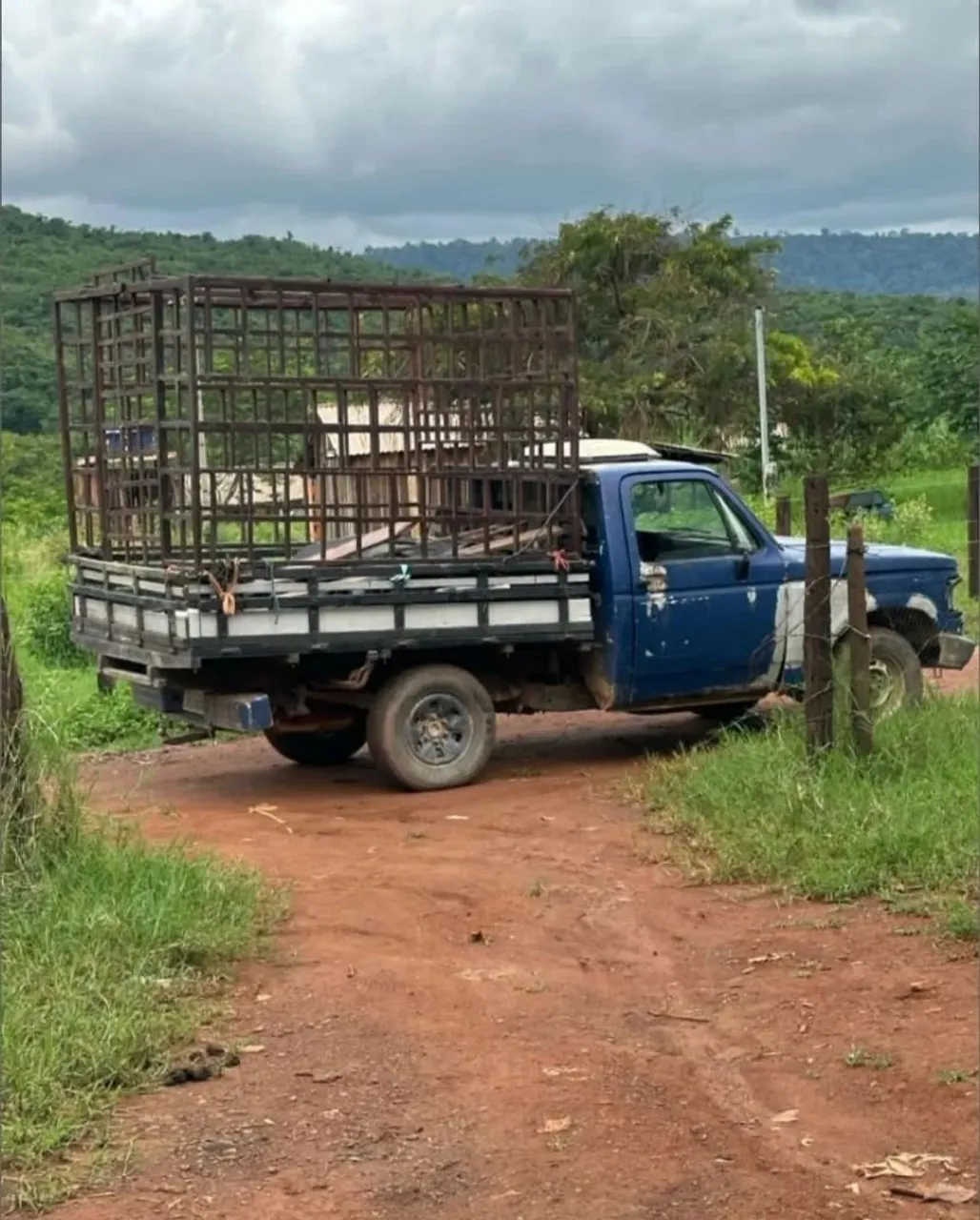 Chevrolet d20