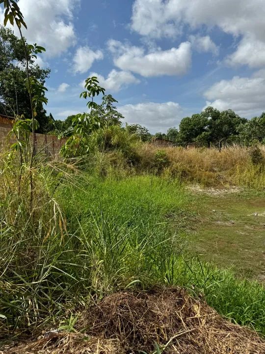 terreno bairro operario parcelado - Foto 2
